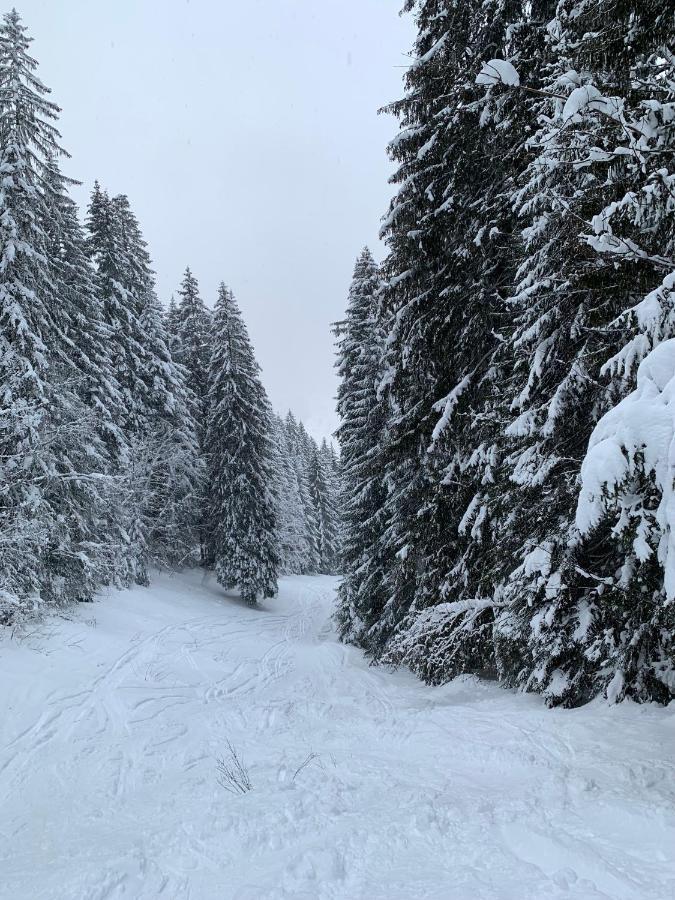 La Jolie Bergere Villa Morzine Eksteriør bilde