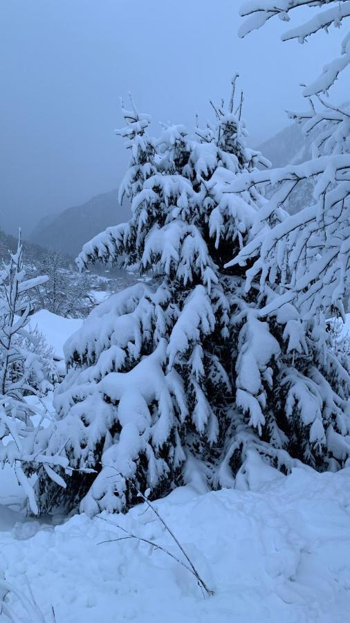 La Jolie Bergere Villa Morzine Eksteriør bilde
